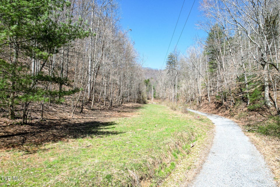 Photo #14: 35 Ac Payne Hollow Rd