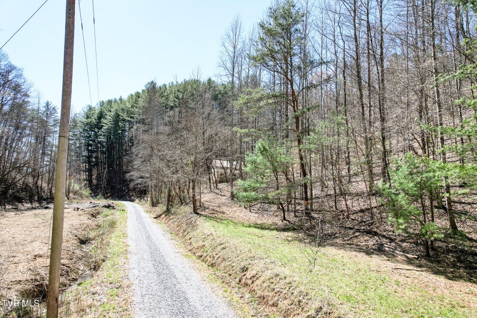 Photo #15: 35 Ac Payne Hollow Rd