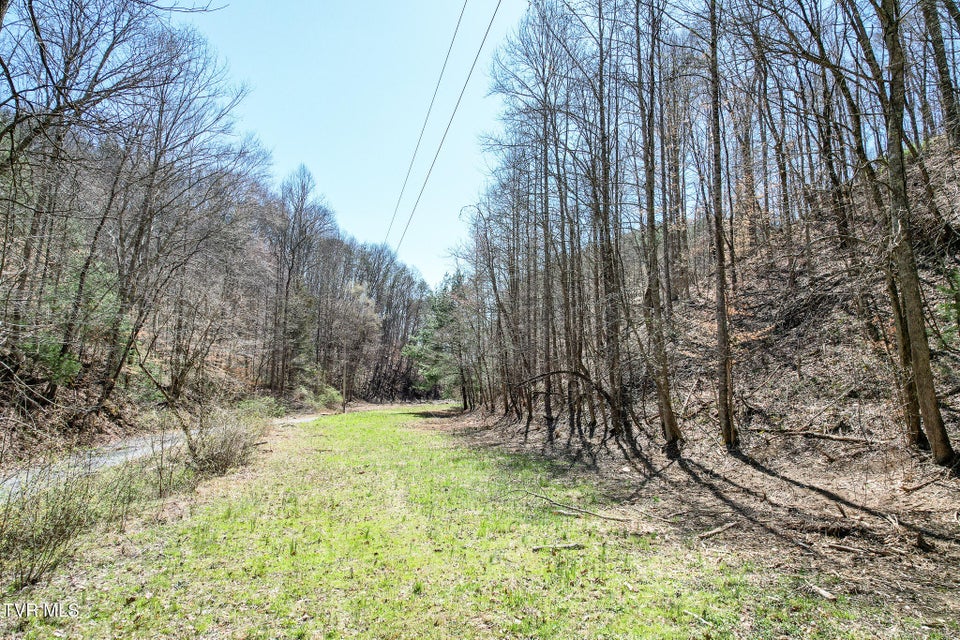 Photo #16: 35 Ac Payne Hollow Rd