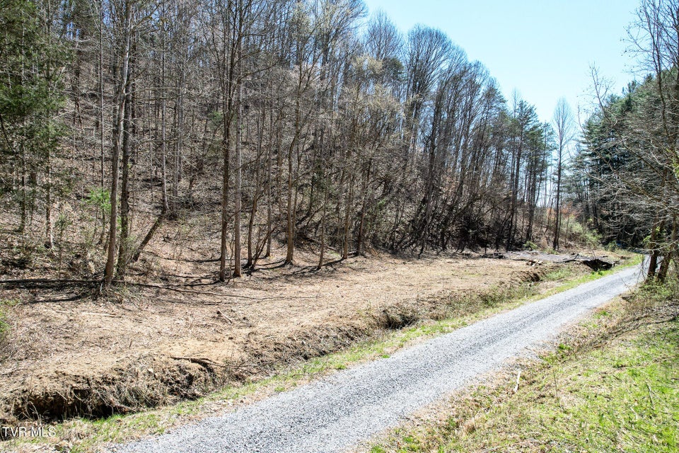 Photo #17: 35 Ac Payne Hollow Rd