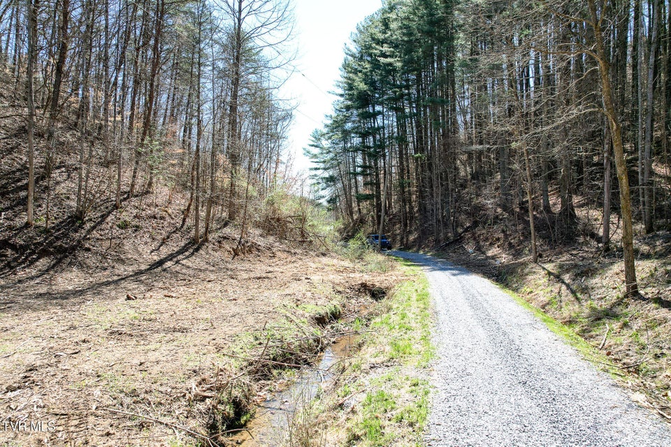 Photo #18: 35 Ac Payne Hollow Rd