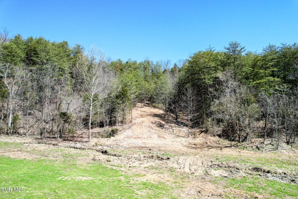 Photo #21: 35 Ac Payne Hollow Rd