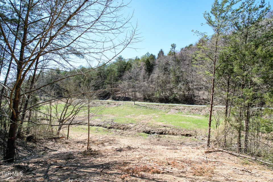 Photo #22: 35 Ac Payne Hollow Rd