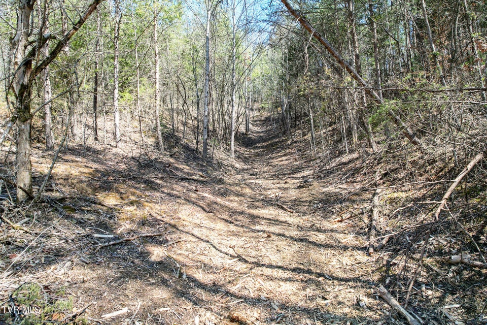 Photo #23: 35 Ac Payne Hollow Rd
