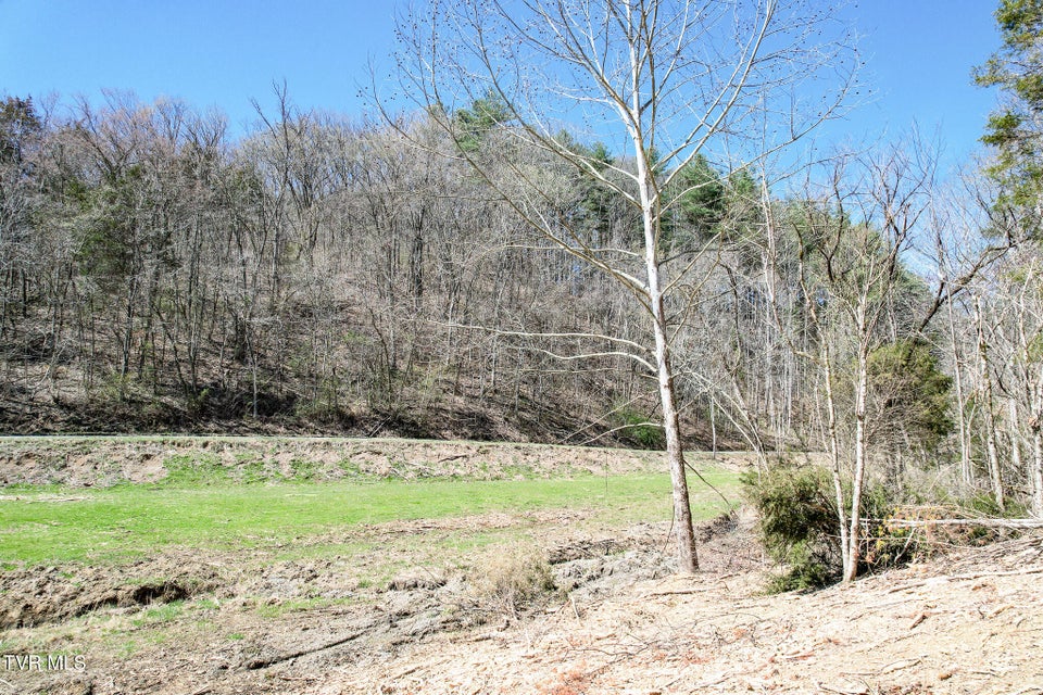 Photo #24: 35 Ac Payne Hollow Rd