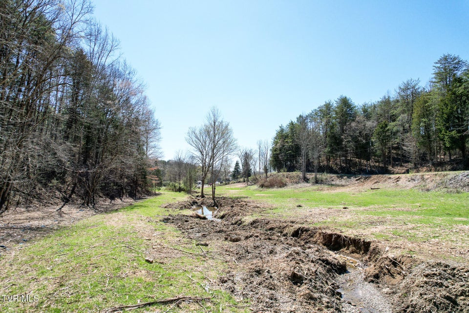 Photo #25: 35 Ac Payne Hollow Rd
