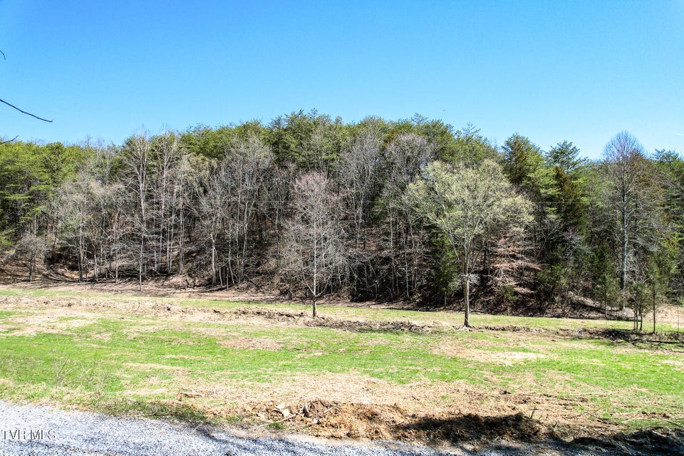 Photo #28: 35 Ac Payne Hollow Rd