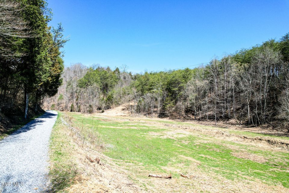Photo #29: 35 Ac Payne Hollow Rd
