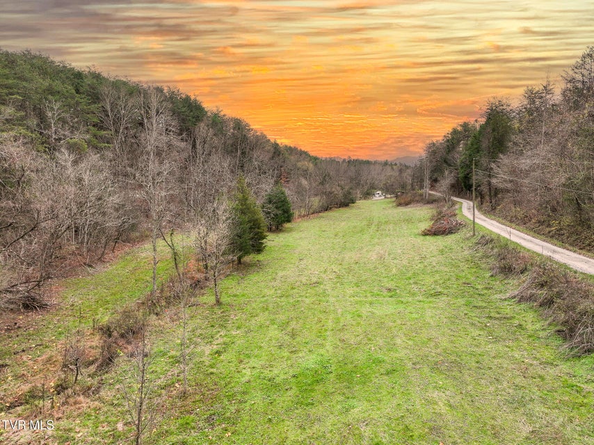 Photo #3: 35 Ac Payne Hollow Rd