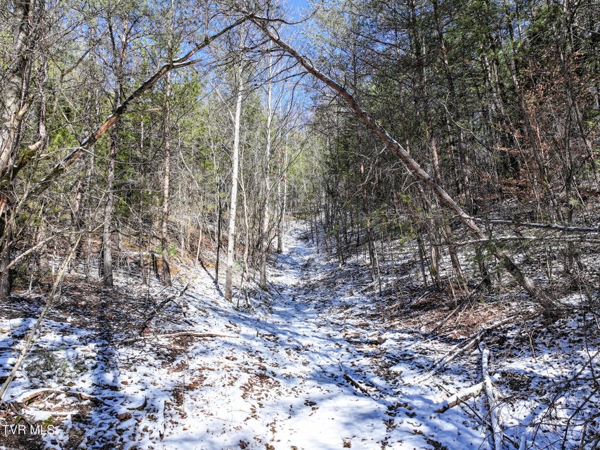 Photo #33: 35 Ac Payne Hollow Rd