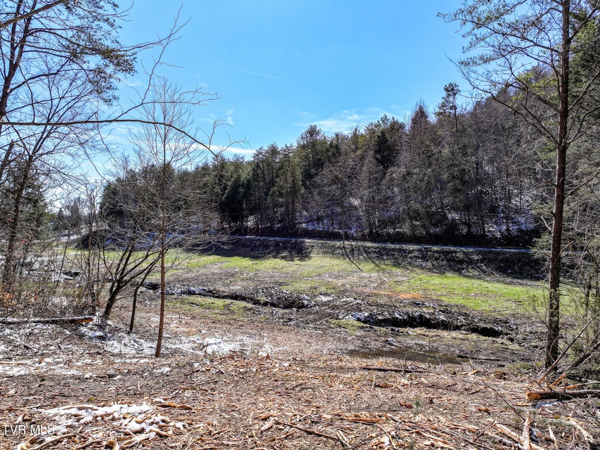 Photo #34: 35 Ac Payne Hollow Rd