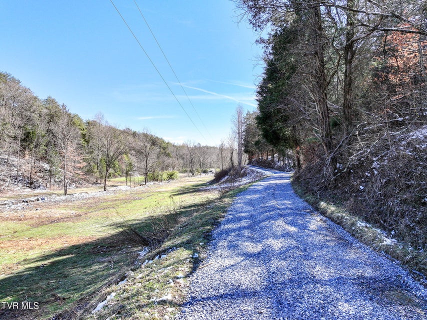 Photo #35: 35 Ac Payne Hollow Rd