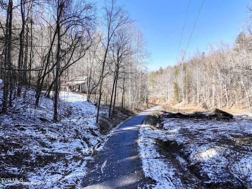 Photo #36: 35 Ac Payne Hollow Rd