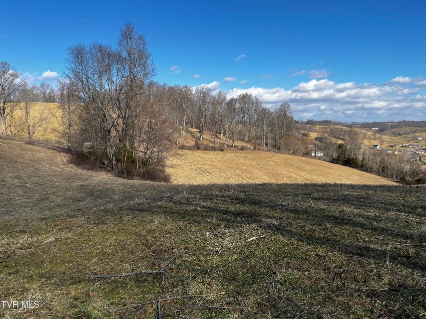 Photo #3: 14251 Nickelsville Highway