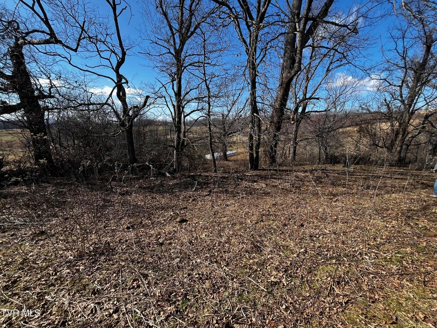 Photo #5: 14251 Nickelsville Highway