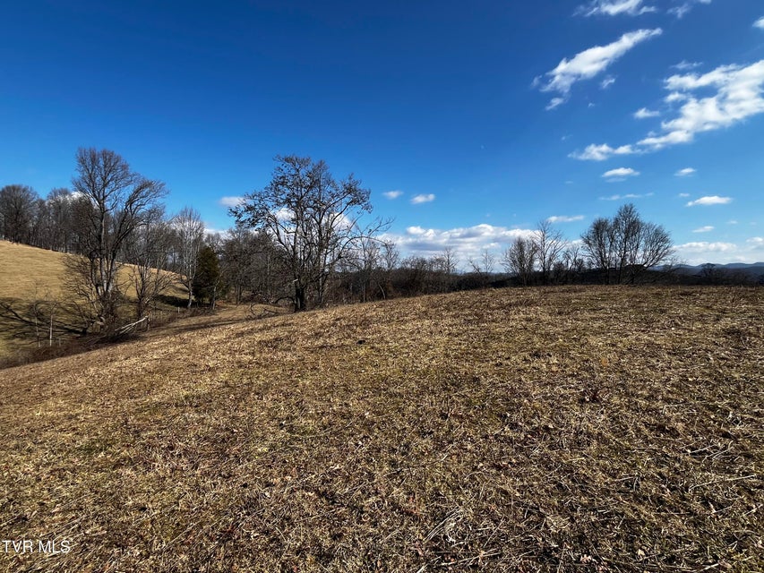 Photo #7: 14251 Nickelsville Highway