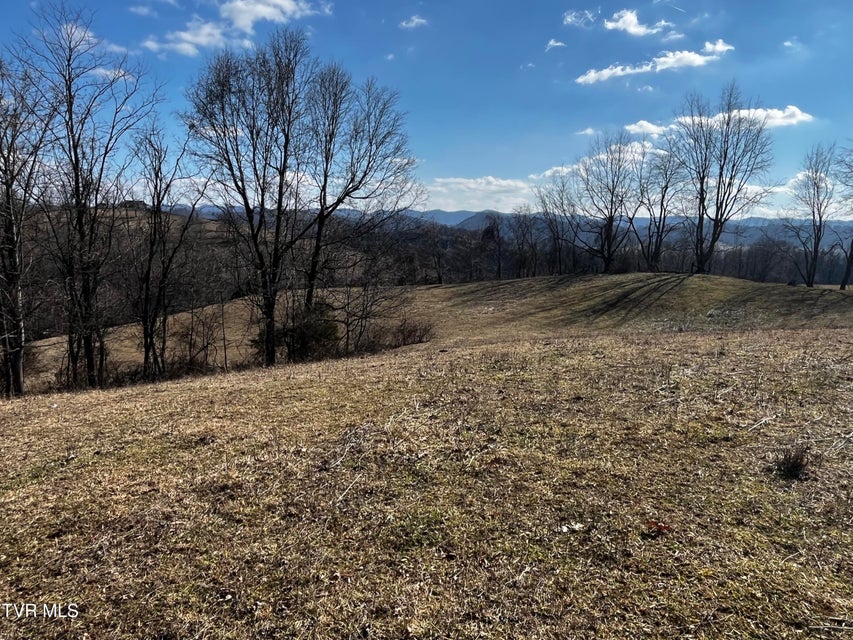 Photo #9: 14251 Nickelsville Highway