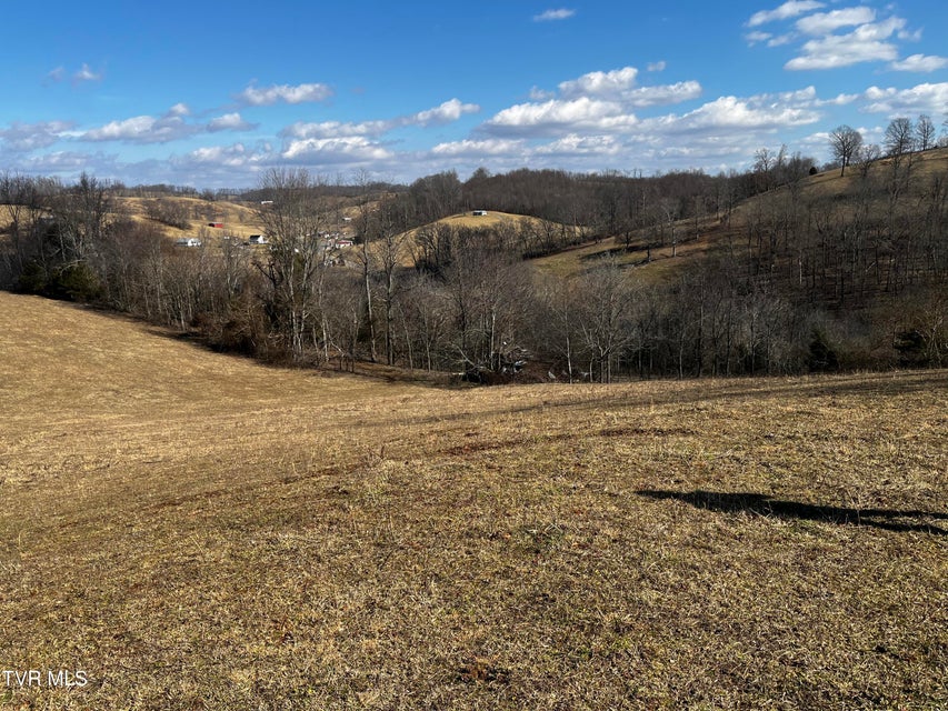 Photo #12: 14251 Nickelsville Highway