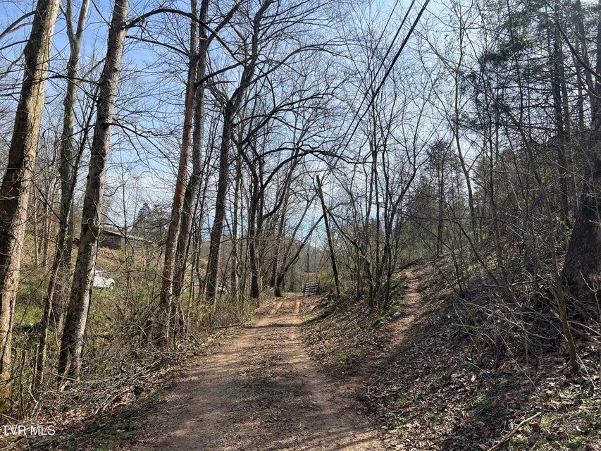 Photo #13: 14251 Nickelsville Highway