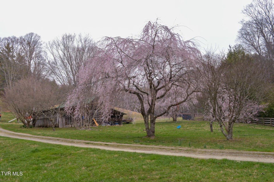 Photo #33: 1563 Stage Road