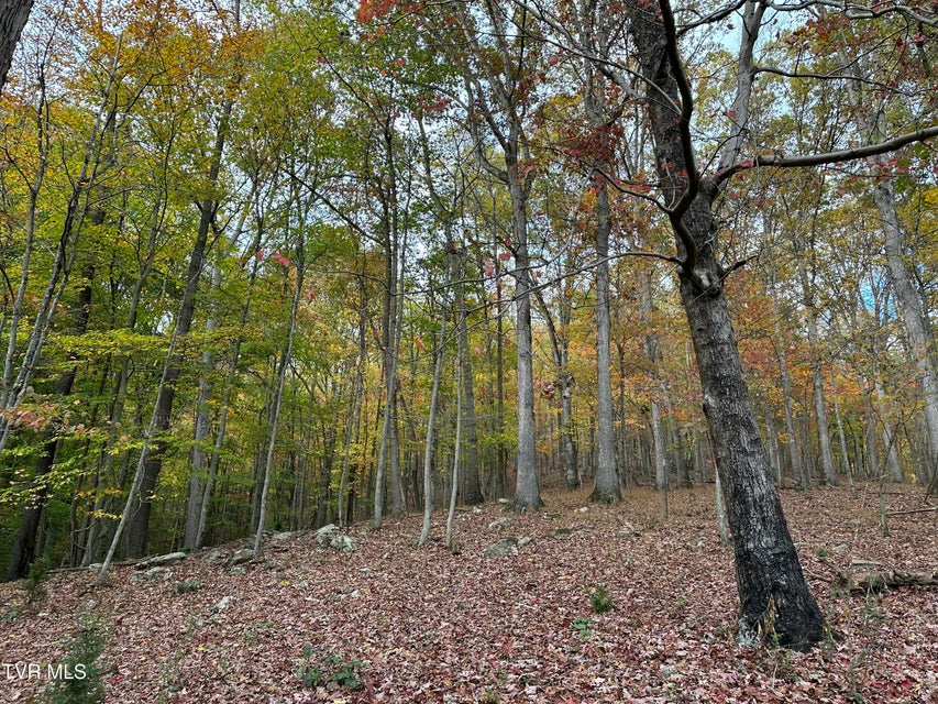 Photo #77: 15687 Barnrock Road
