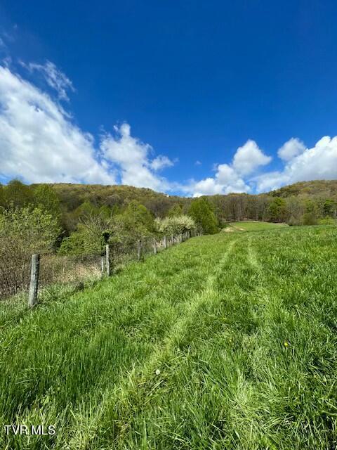 Photo #83: 15687 Barnrock Road