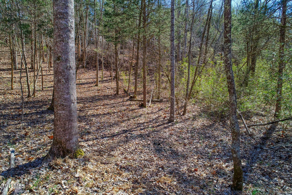 Photo #8: Tbd Devils Nose Road