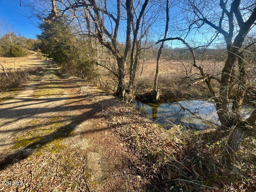 Photo #5: 71/Ac Tbd Smithtown Road