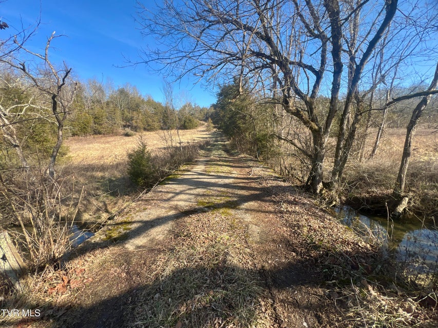 Photo #6: 71/Ac Tbd Smithtown Road