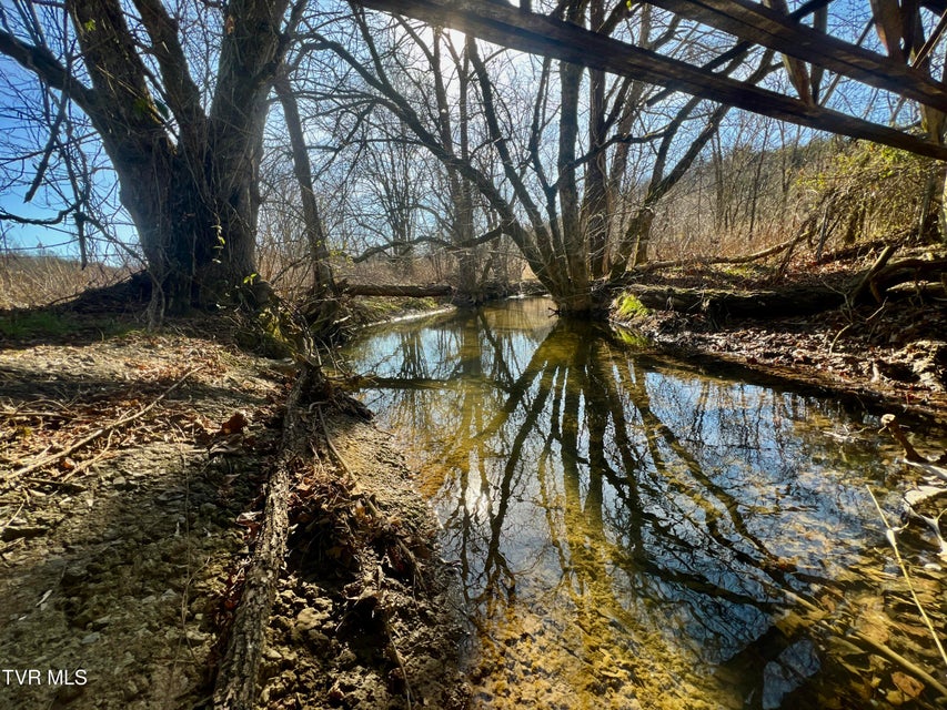 Photo #10: 71/Ac Tbd Smithtown Road