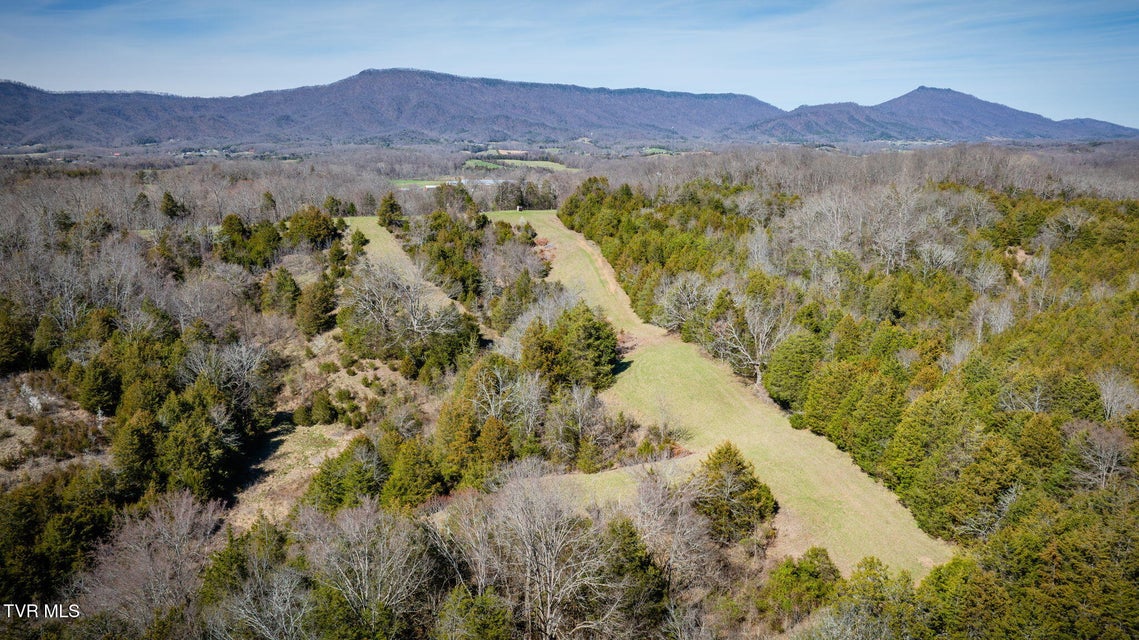 Photo #11: 71/Ac Tbd Smithtown Road