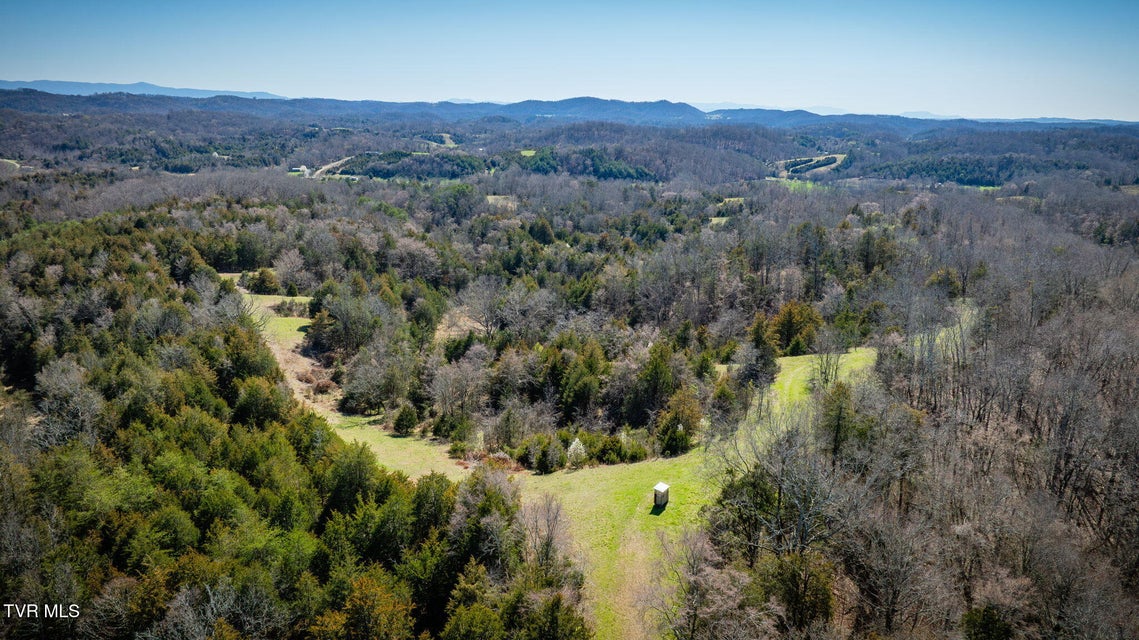 Photo #12: 71/Ac Tbd Smithtown Road