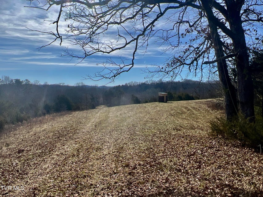 Photo #20: 71/Ac Tbd Smithtown Road