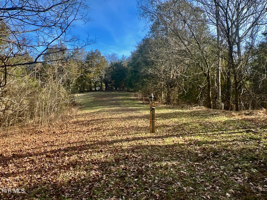 Photo #22: 71/Ac Tbd Smithtown Road