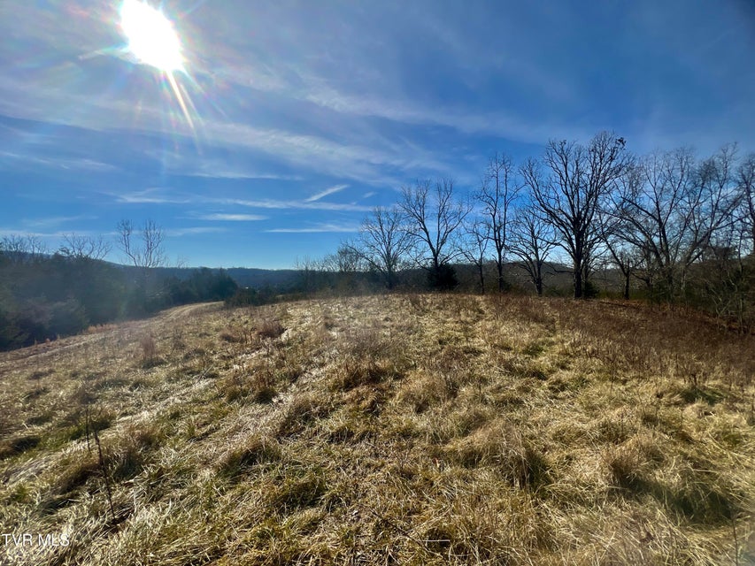 Photo #24: 71/Ac Tbd Smithtown Road