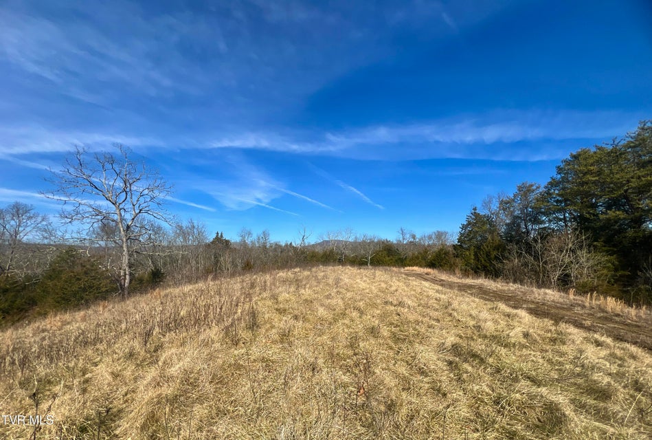 Photo #25: 71/Ac Tbd Smithtown Road