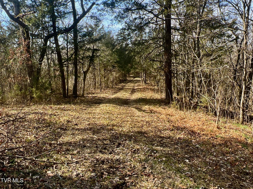 Photo #26: 71/Ac Tbd Smithtown Road
