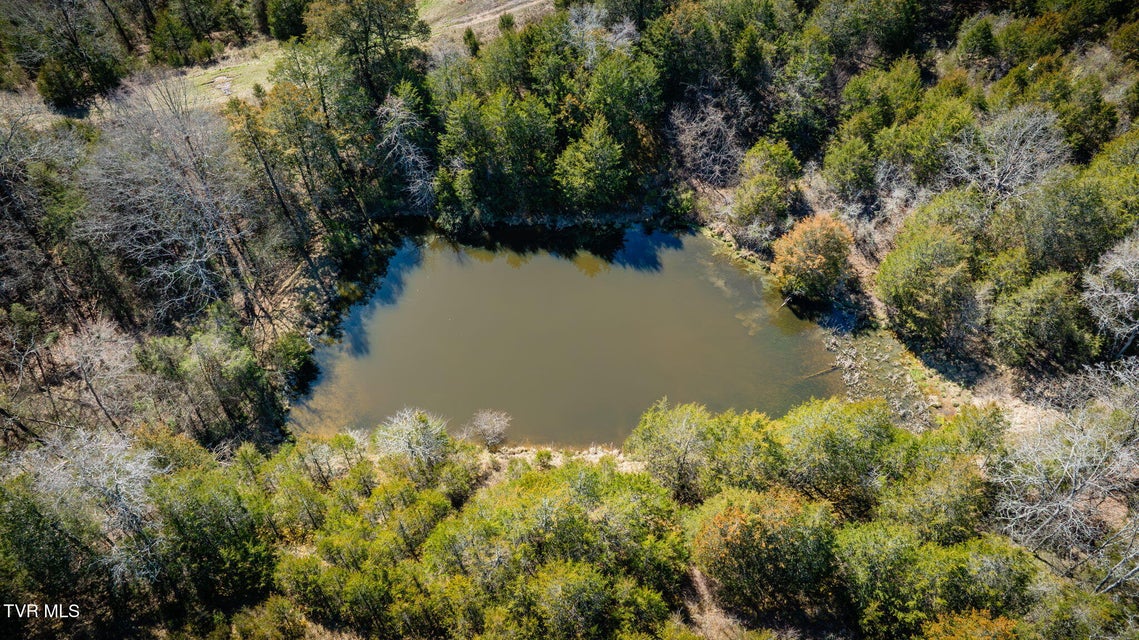 Photo #28: 71/Ac Tbd Smithtown Road
