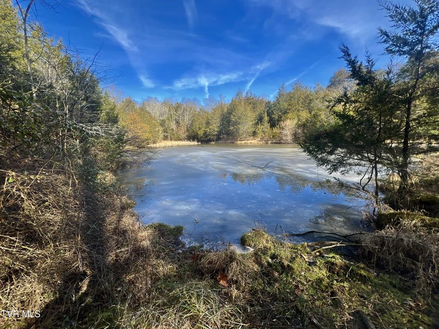 Photo #29: 71/Ac Tbd Smithtown Road