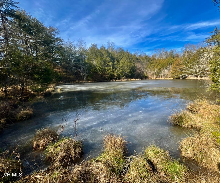Photo #30: 71/Ac Tbd Smithtown Road
