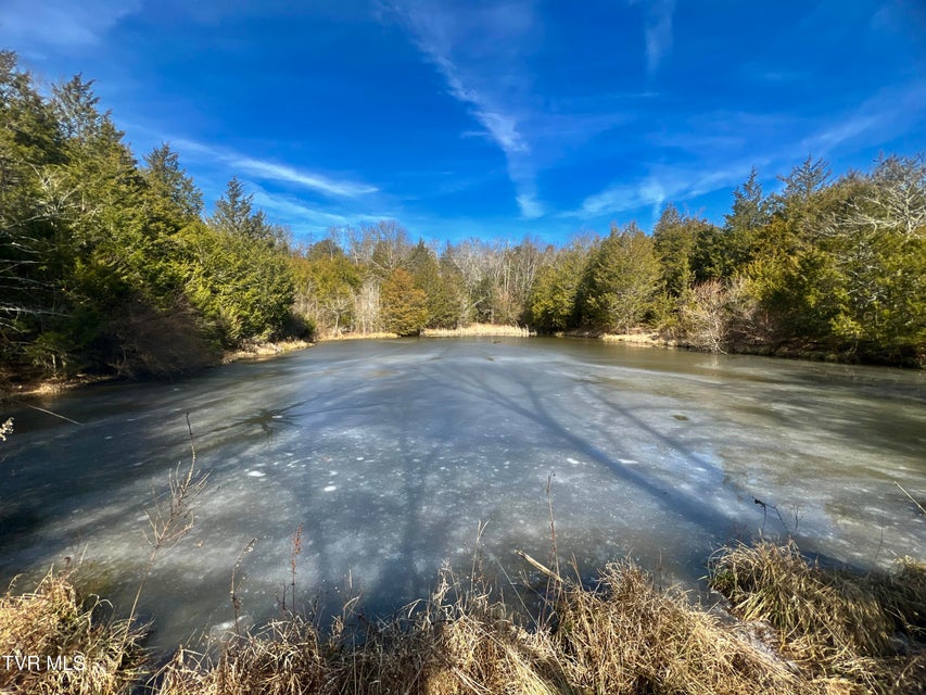 Photo #31: 71/Ac Tbd Smithtown Road