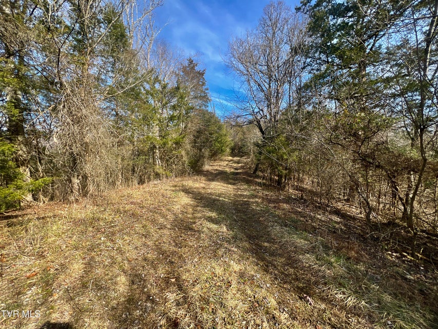Photo #32: 71/Ac Tbd Smithtown Road