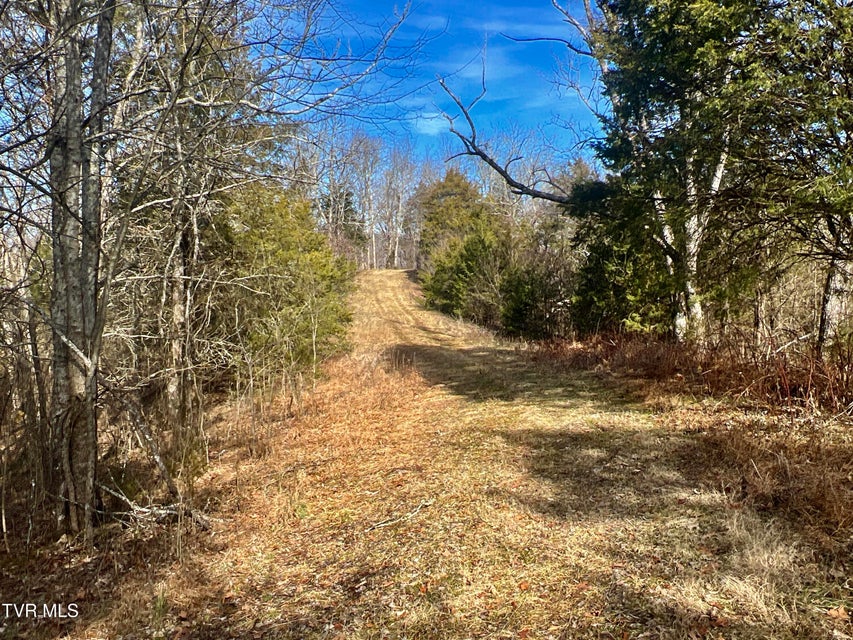 Photo #33: 71/Ac Tbd Smithtown Road