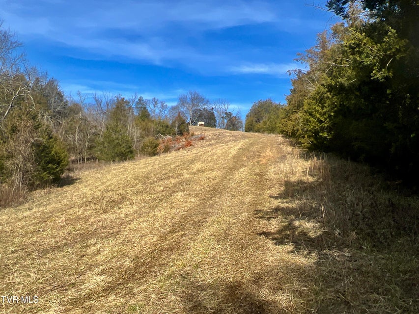 Photo #34: 71/Ac Tbd Smithtown Road