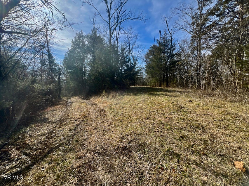 Photo #35: 71/Ac Tbd Smithtown Road