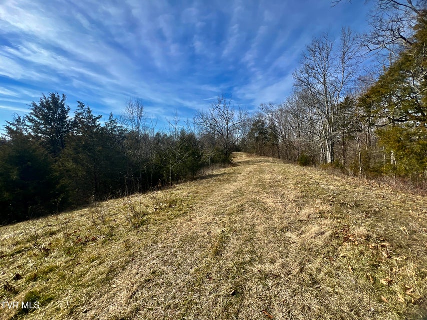 Photo #36: 71/Ac Tbd Smithtown Road