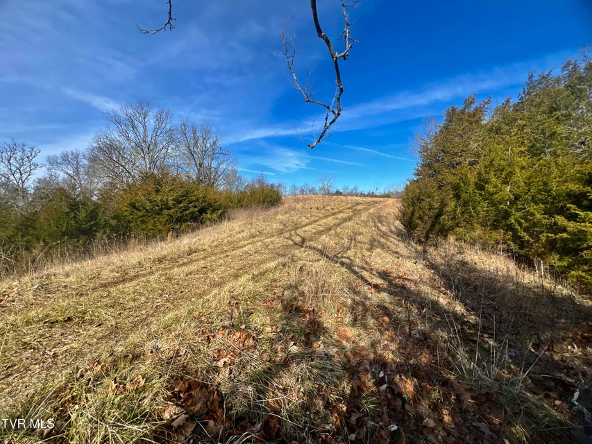 Photo #37: 71/Ac Tbd Smithtown Road