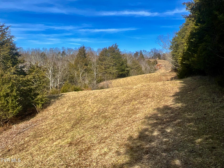 Photo #39: 71/Ac Tbd Smithtown Road