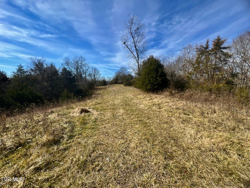 Photo #40: 71/Ac Tbd Smithtown Road