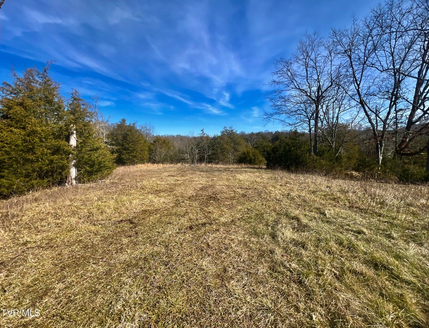 Photo #41: 71/Ac Tbd Smithtown Road